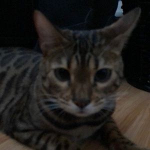 Meet your Posher, Tabbatha